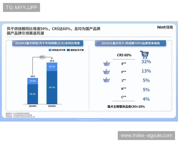 AG恒峰平台最新动态引领行业发展趋势全面解析