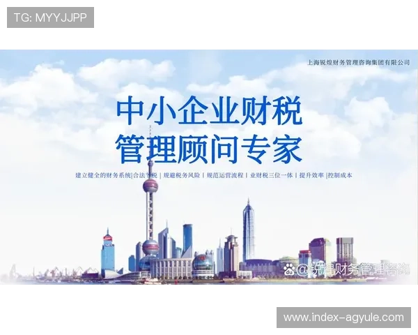 K8中国官网推出智能化服务平台,为中小企业提供一站式财务管理支持